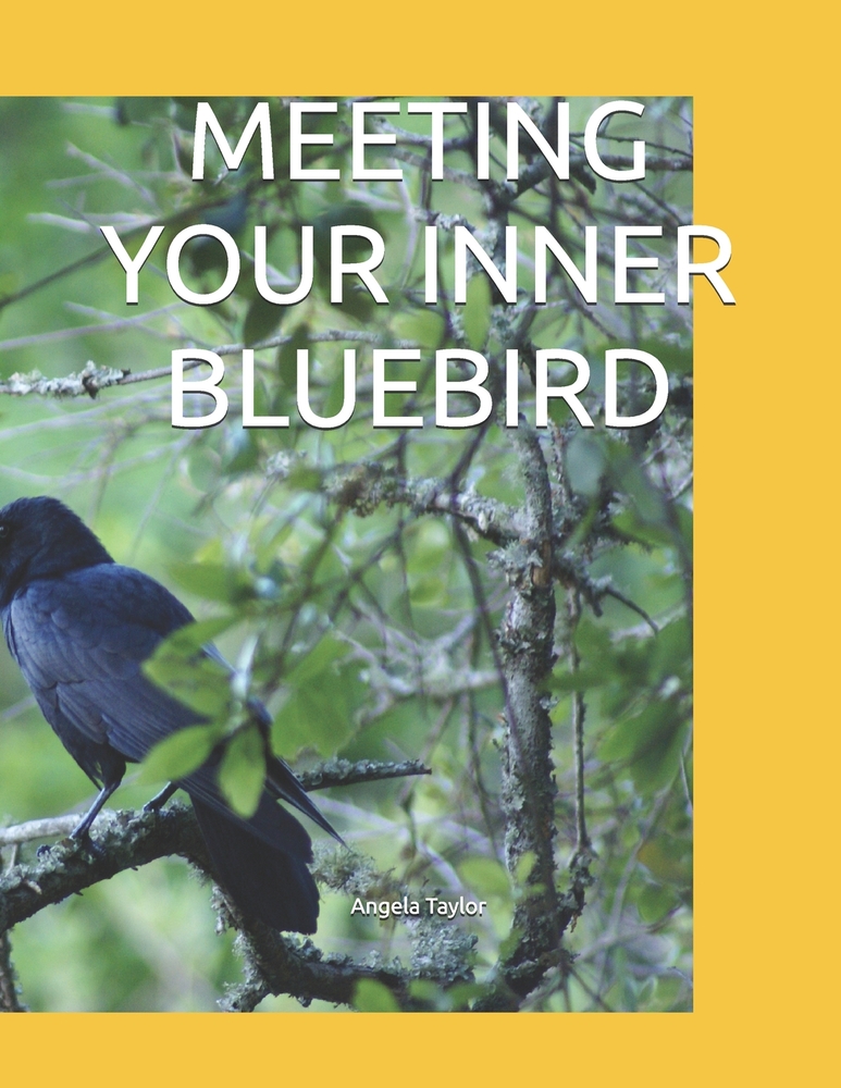 Meeting Your Inner Bluebird cover