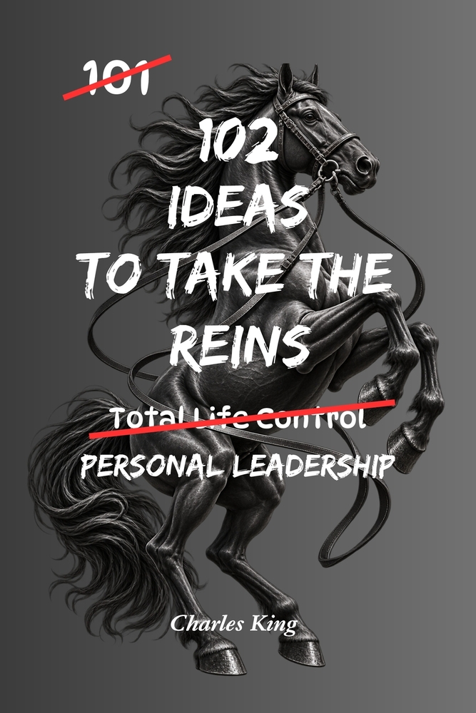 102 Ideas To Take The Reins: No More Drifting. No Waiting For Someone Else To Sort It Out. Simple Everyday Ideas To Take Control, Make Clearer Decisio cover