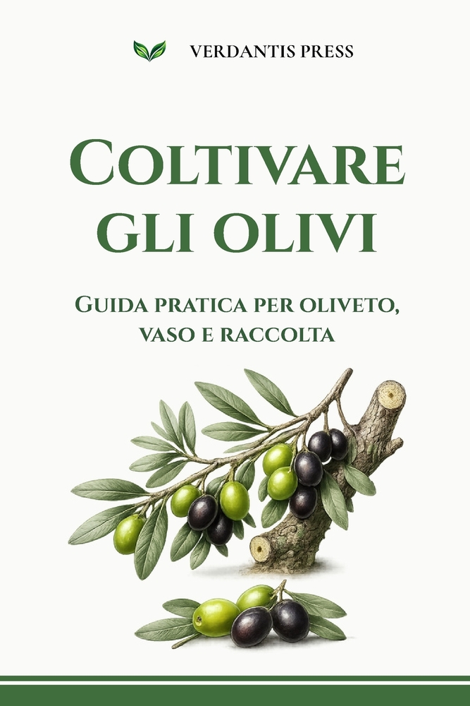 Coltivare gli olivi: Guida pratica per oliveto, vaso e raccolta cover
