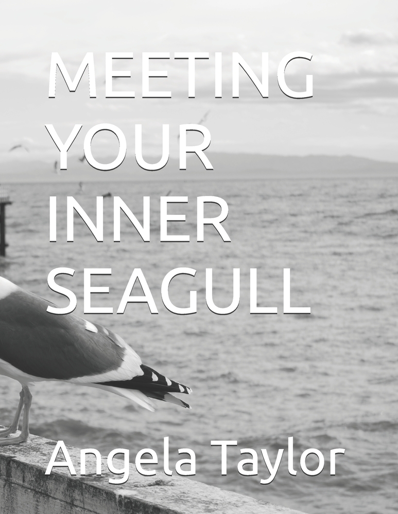 Meeting Your Inner Seagull cover