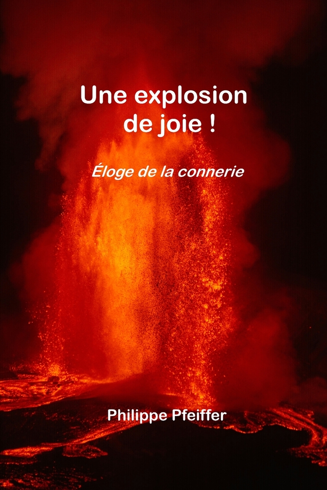 Une explosion de joie !: Éloge de la connerie cover