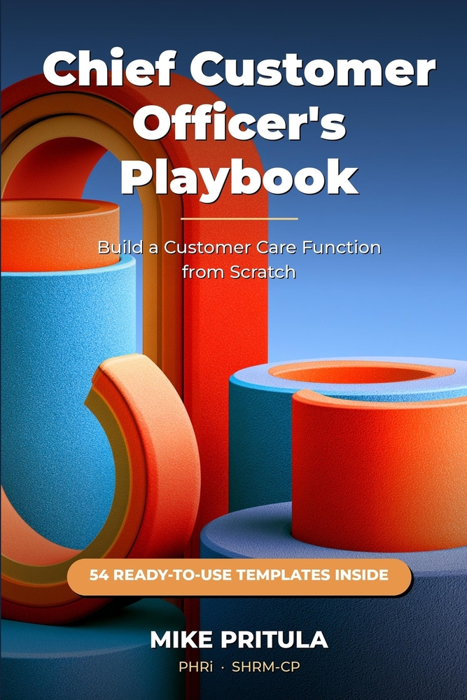Chief Customer Officer's Playbook: Build a Customer Care Function from Scratch - Role, Audit, Strategy, Team, Process, Metrics cover