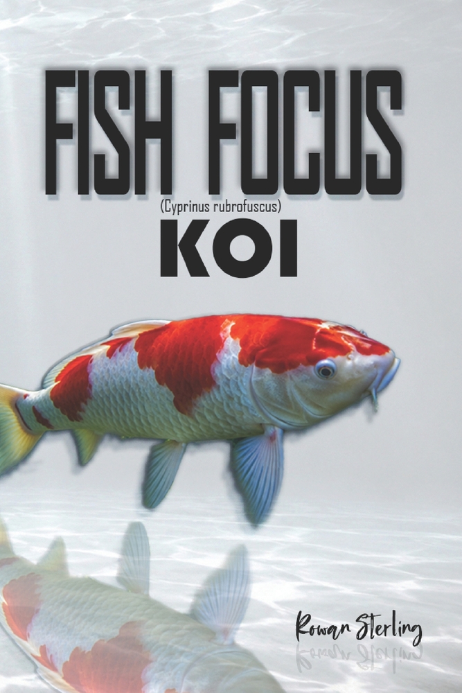Fish Focus Koi (Cyprinus rubrofuscus): Behaviour, Care, and Natural Habitat Guide cover