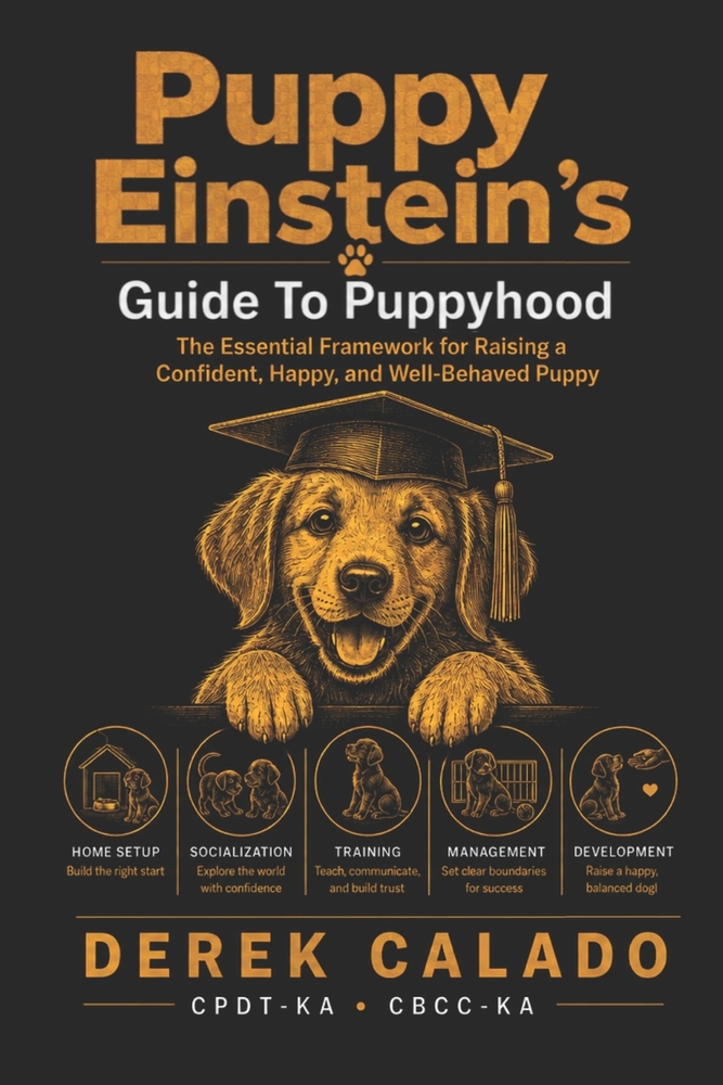 Puppy Einstein's Guide To Puppyhood: The essential framework for raising a confident, happy, well behaved puppy cover