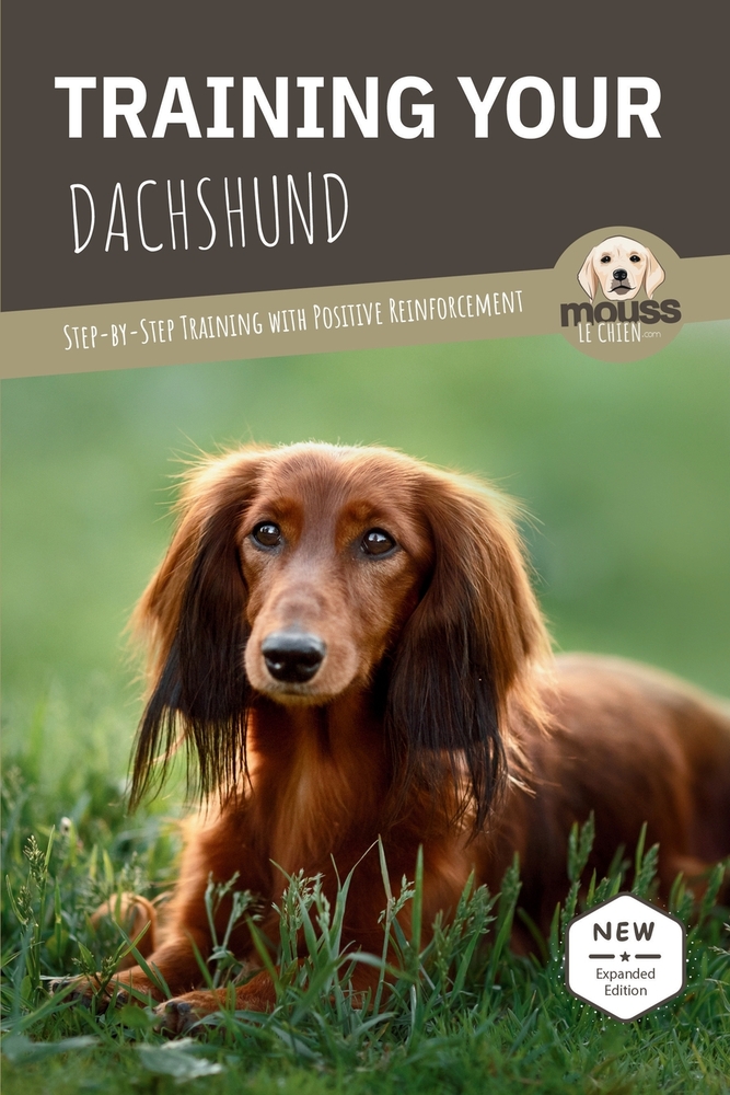 Training Your Dachshund: Step-by-Step Training with Positive Reinforcement cover