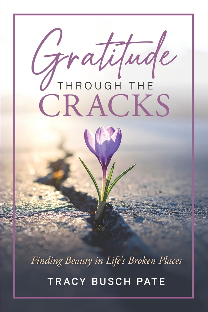 Gratitude Through the Cracks: Finding Beauty in Life's Broken Places cover