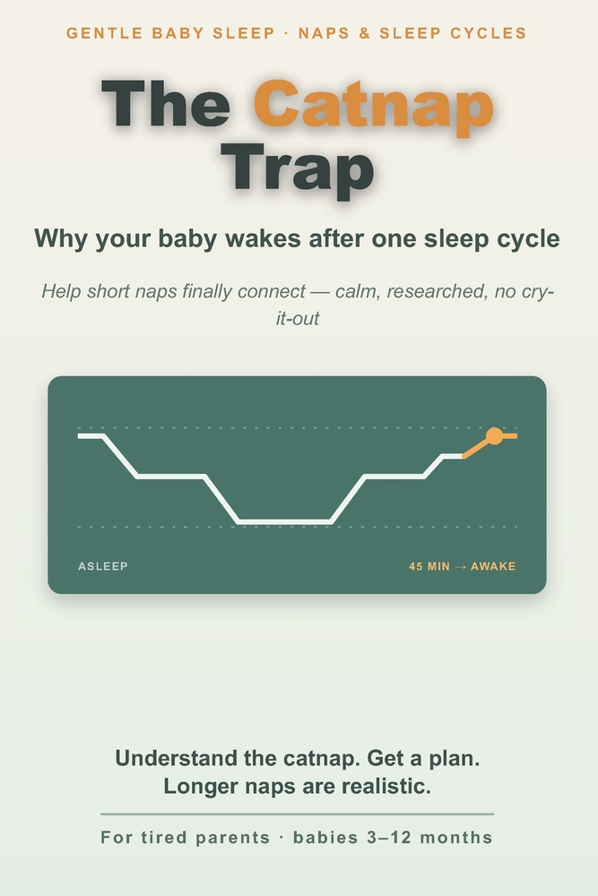 The Catnap Trap: Why Your Little One Wakes After One Sleep Cycle - and How to Help Short Naps Finally Connect (3- 12 Months) cover