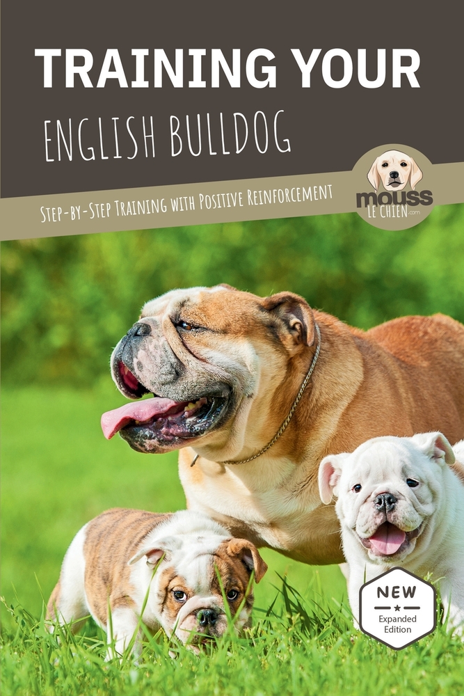 Training Your English Bulldog: Step-by-Step Training with Positive Reinforcement cover