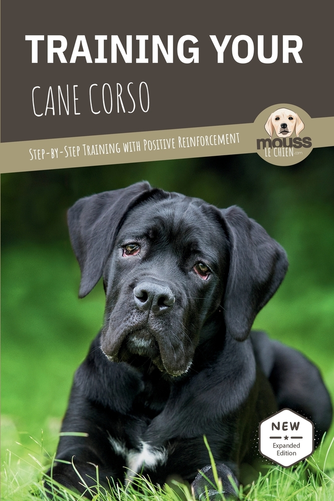 Training Your Cane Corso: Step-by-Step Training with Positive Reinforcement cover