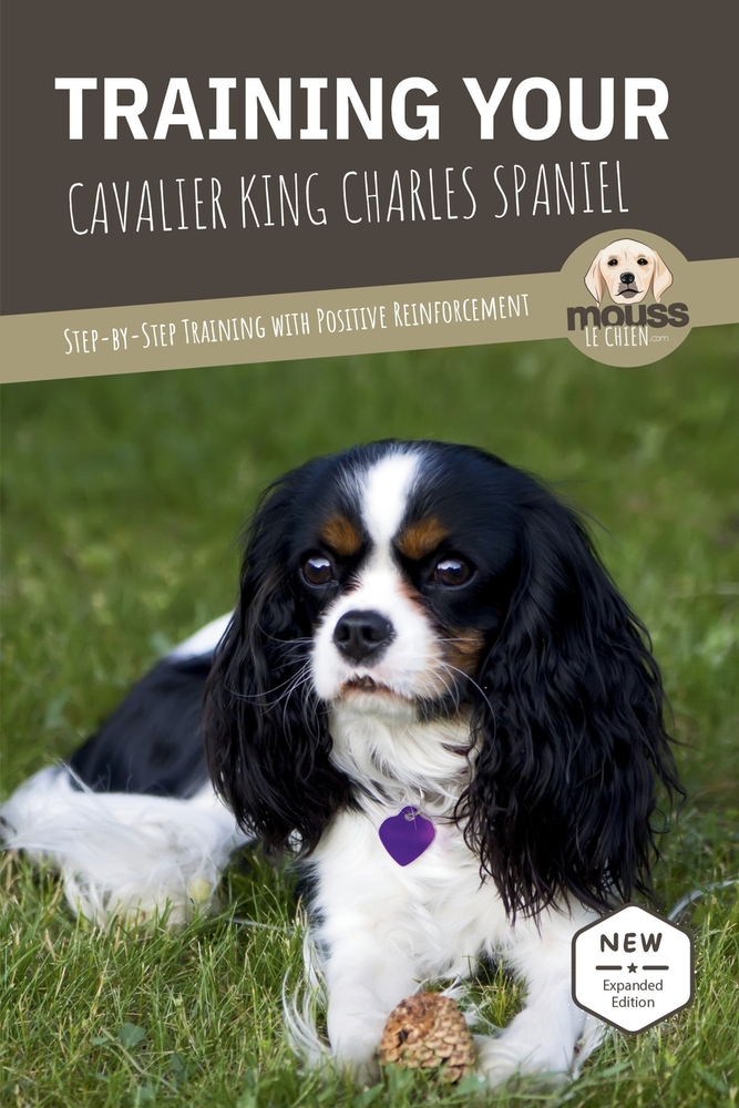 Training Your Cavalier King Charles Spaniel: Step-by-Step Training with Positive Reinforcement cover
