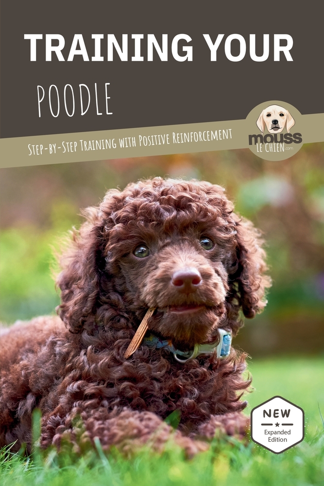 Training Your Poodle: Step-by-Step Training with Positive Reinforcement cover