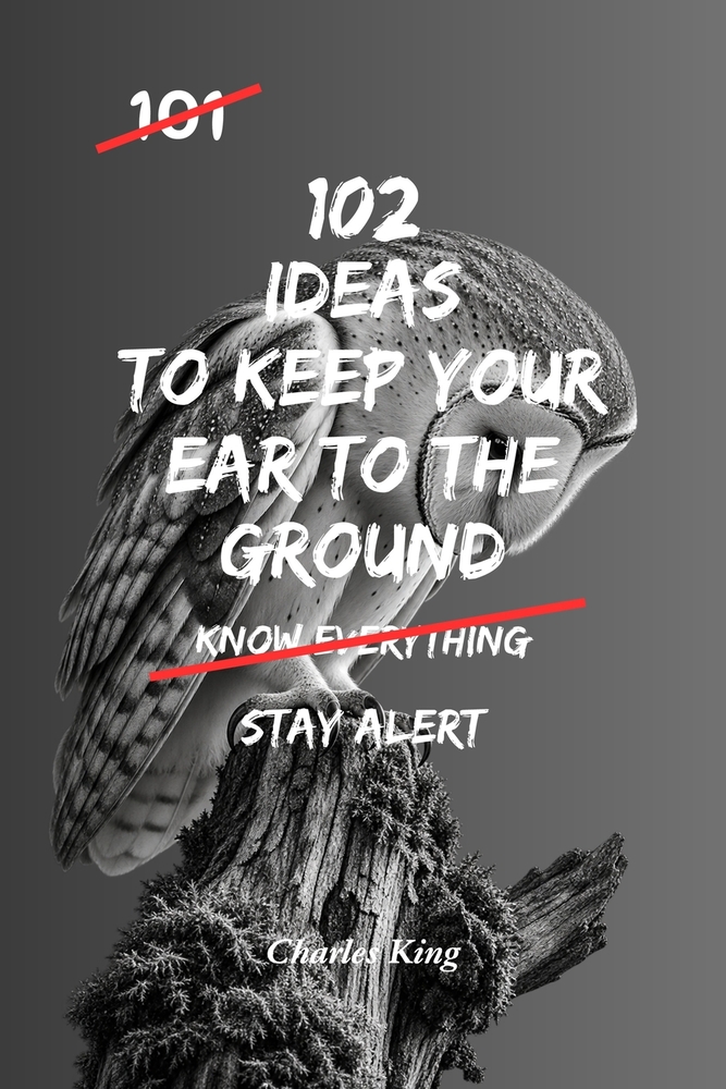 102 Ideas To Keep Your Ear To The Ground: No Perfect Awareness. Simple Everyday Ideas To Stay Alert, Notice Opportunities, Read Situations Better, and cover