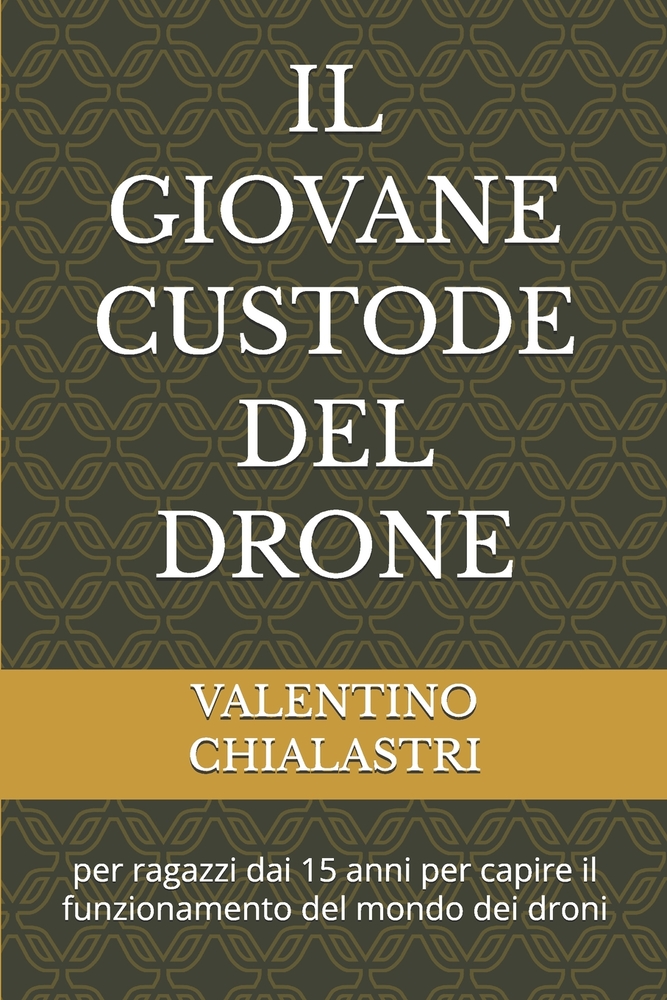 Il Giovane Custode del Drone: per ragazzi dai 15 anni per capire il funzionamento del mondo dei droni cover