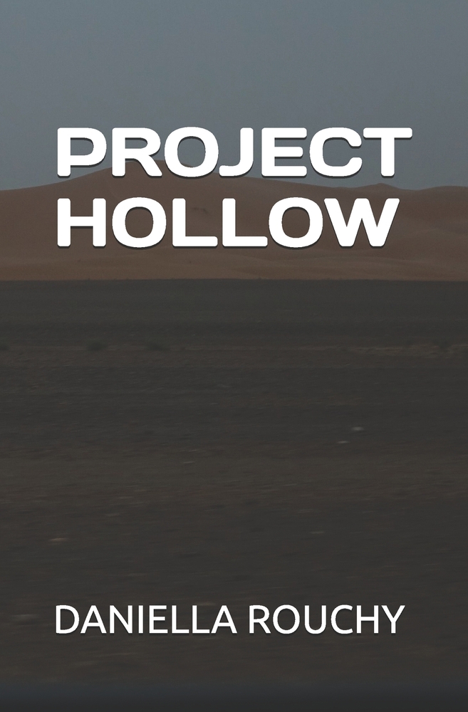 Project Hollow cover