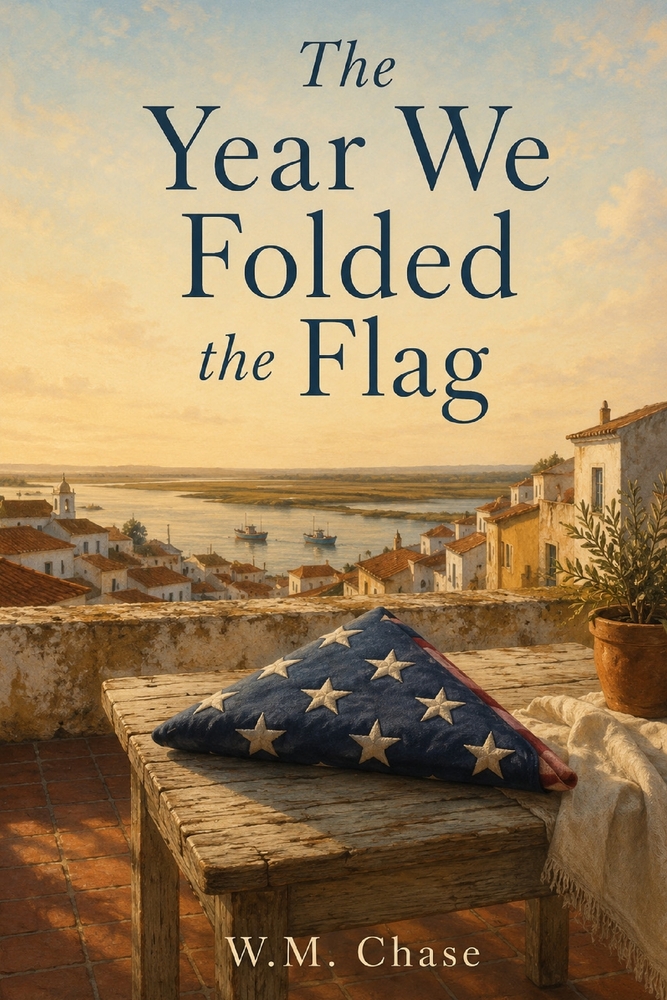 The Year We Folded the Flag cover