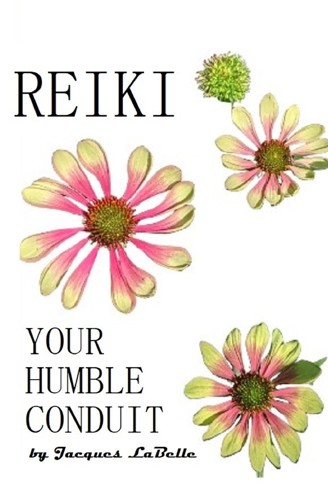 Reiki: Your Humble Conduit cover