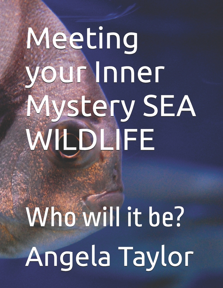 Meeting your Inner Mystery SEA WILDLIFE: Who will it be? cover