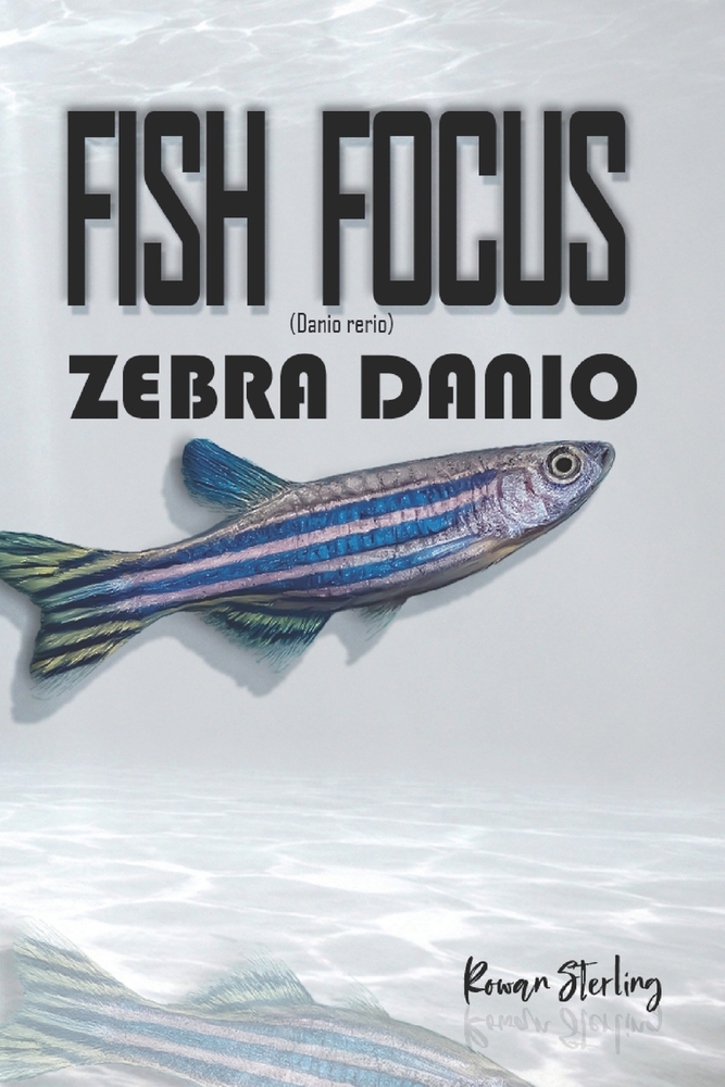 Fish Focus: Angelfish (Pterophyllum scalare): Behaviour, Care, and Natural Habitat Guide cover