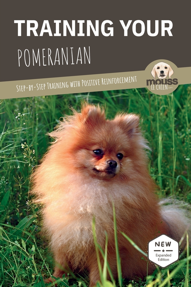 Training Your Pomeranian: Step-by-Step Training with Positive Reinforcement cover