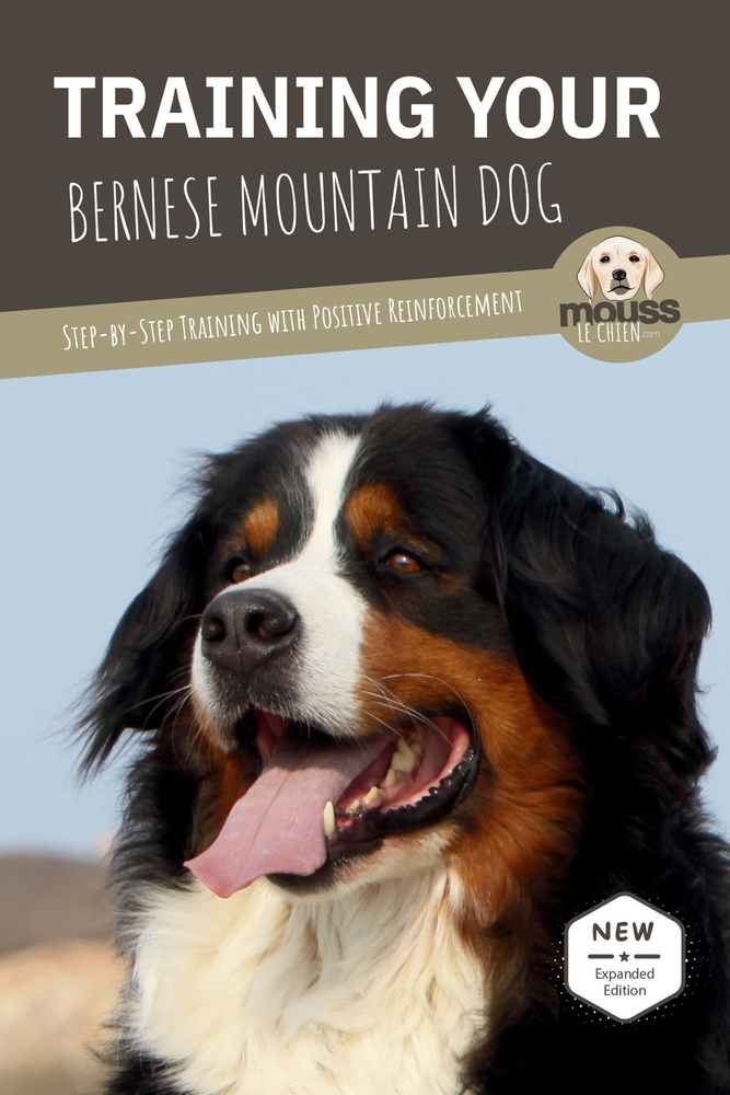 Training Your Bernese Mountain Dog: Step-by-Step Training with Positive Reinforcement cover