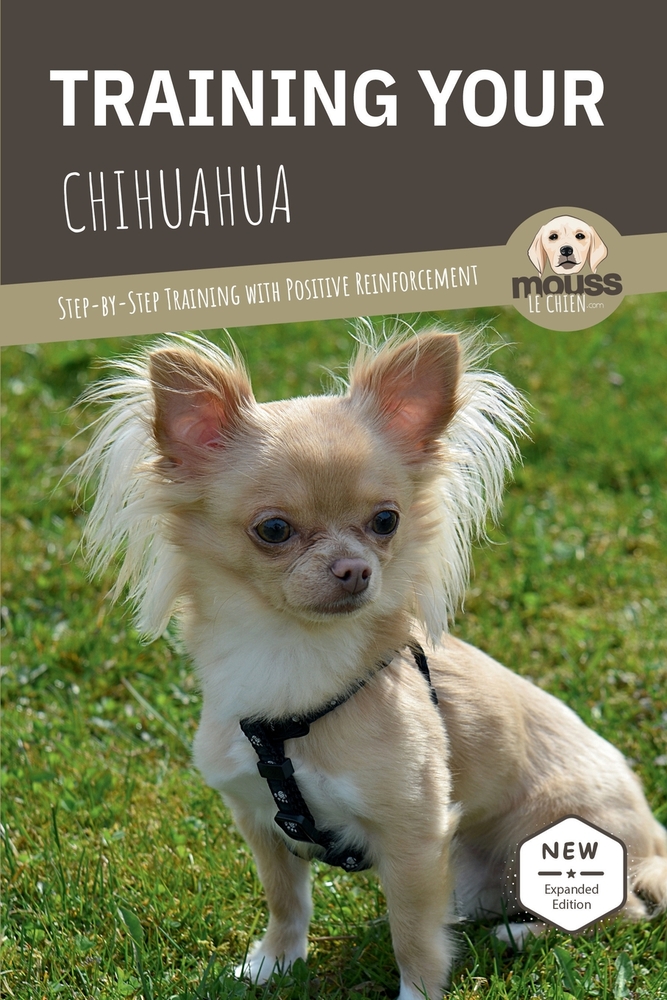 Training Your Chihuahua: Step-by-Step Training with Positive Reinforcement cover