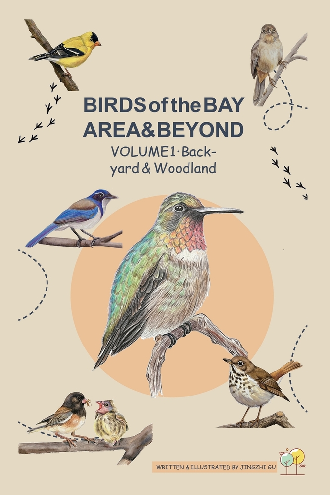 BIRDS of the BAY AREA & BEYOND: Volume 2 - Water, Sky & California's Stars cover