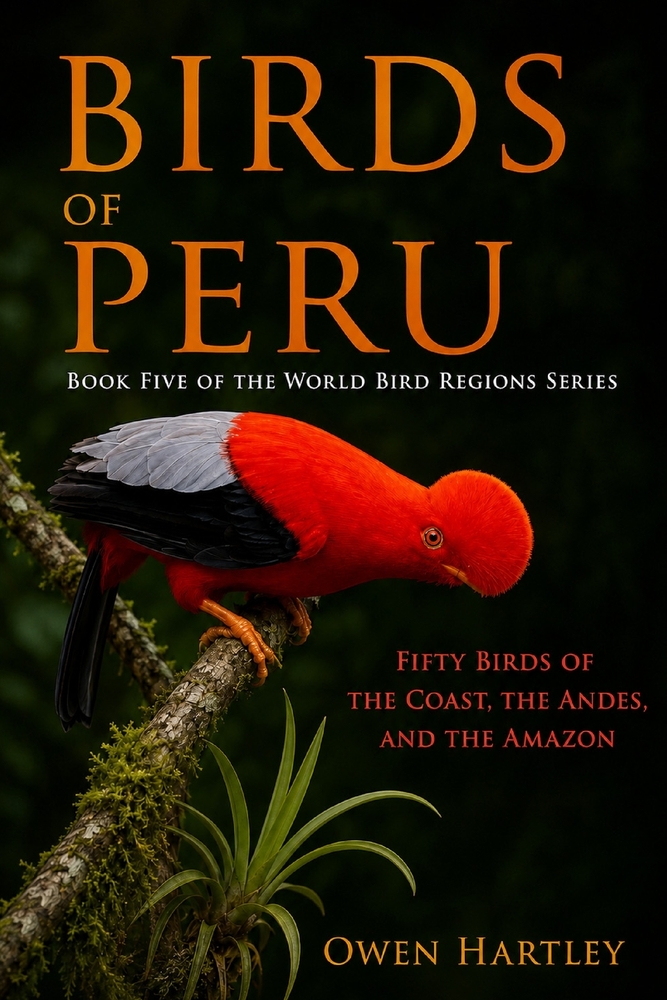 Birds of Peru: Fifty Birds of the Coast, the Andes, and the Amazon cover