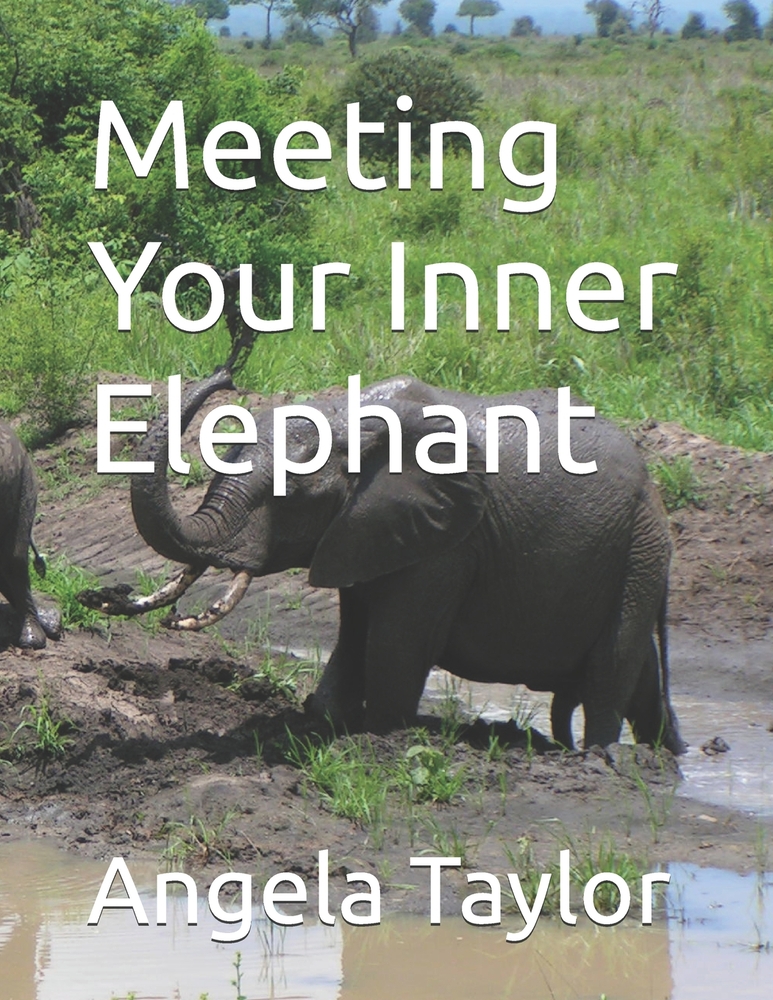 Meeting Your Inner Elephant cover