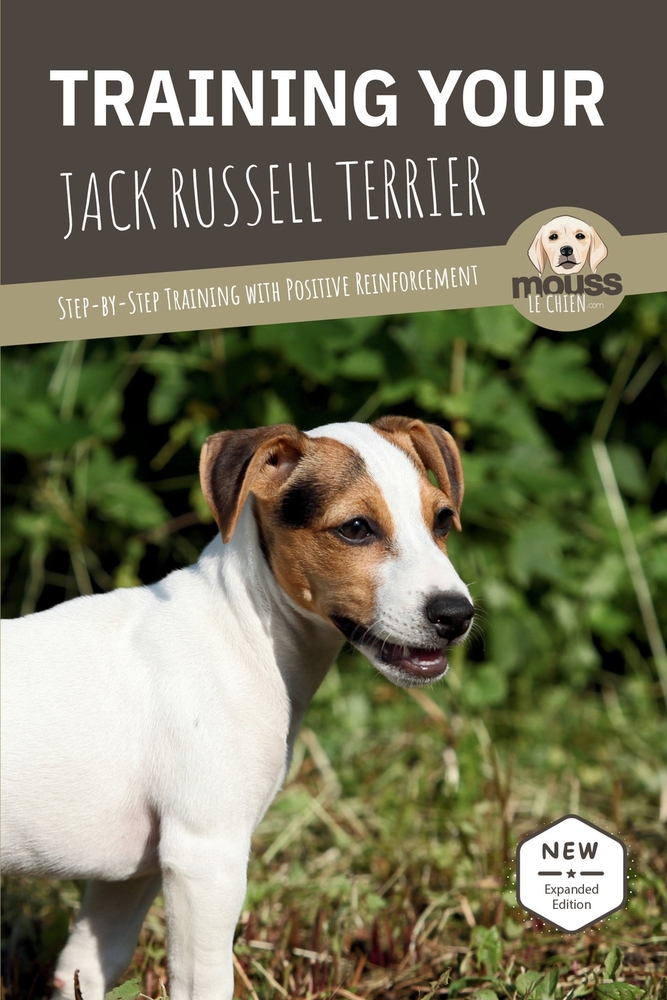 Training Your Jack Russell Terrier: Step-by-Step Training with Positive Reinforcement cover