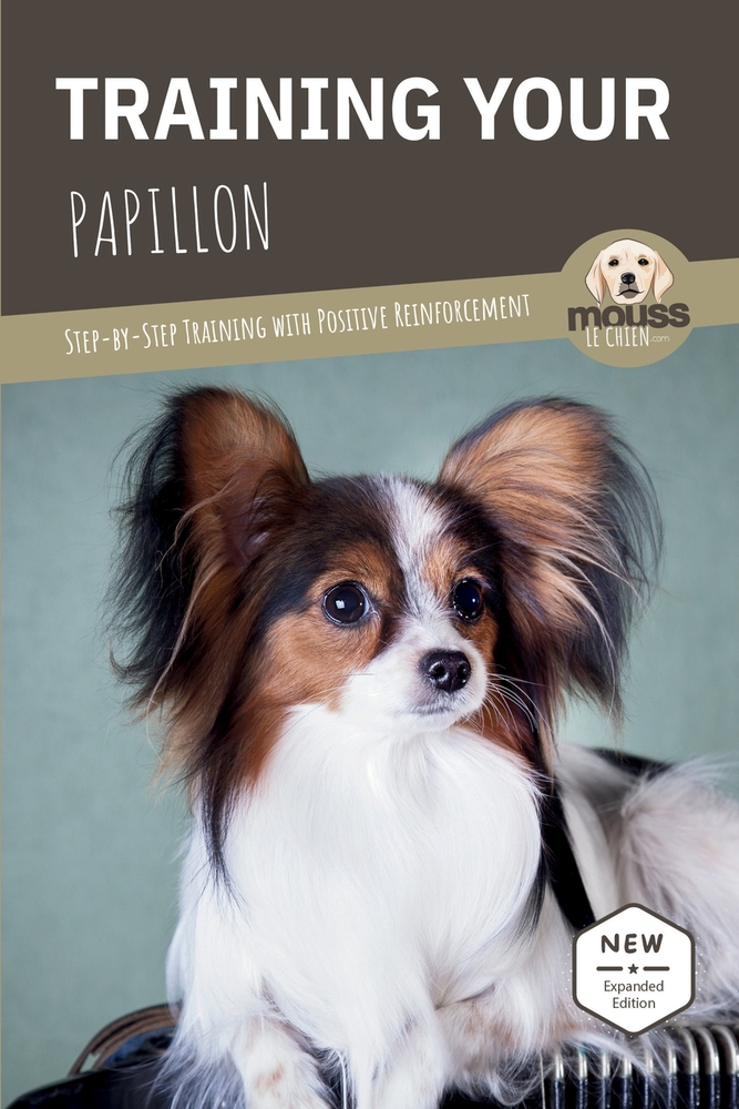Training Your Papillon: Step-by-Step Training with Positive Reinforcement cover