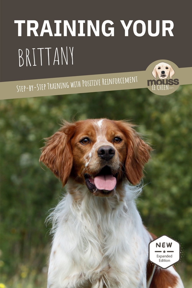 Training Your Brittany: Step-by-Step Training with Positive Reinforcement cover