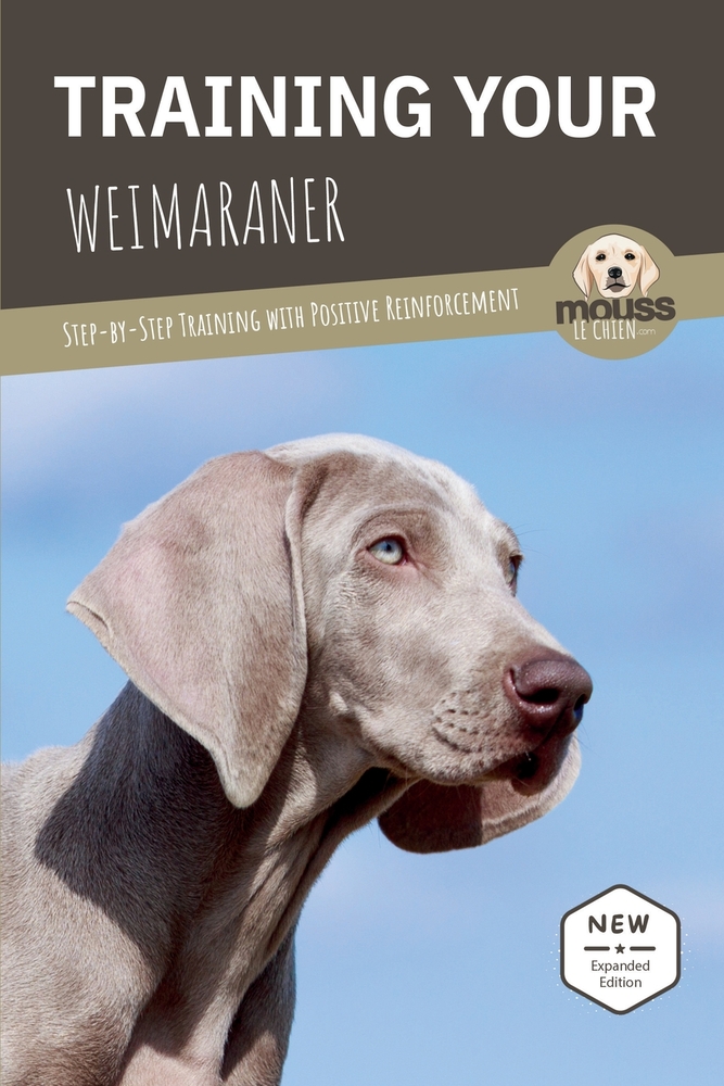 Training Your Weimaraner: Step-by-Step Training with Positive Reinforcement cover