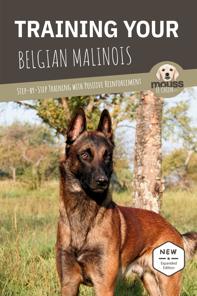 Training Your Belgian Malinois: Step-by-Step Training with Positive Reinforcement cover