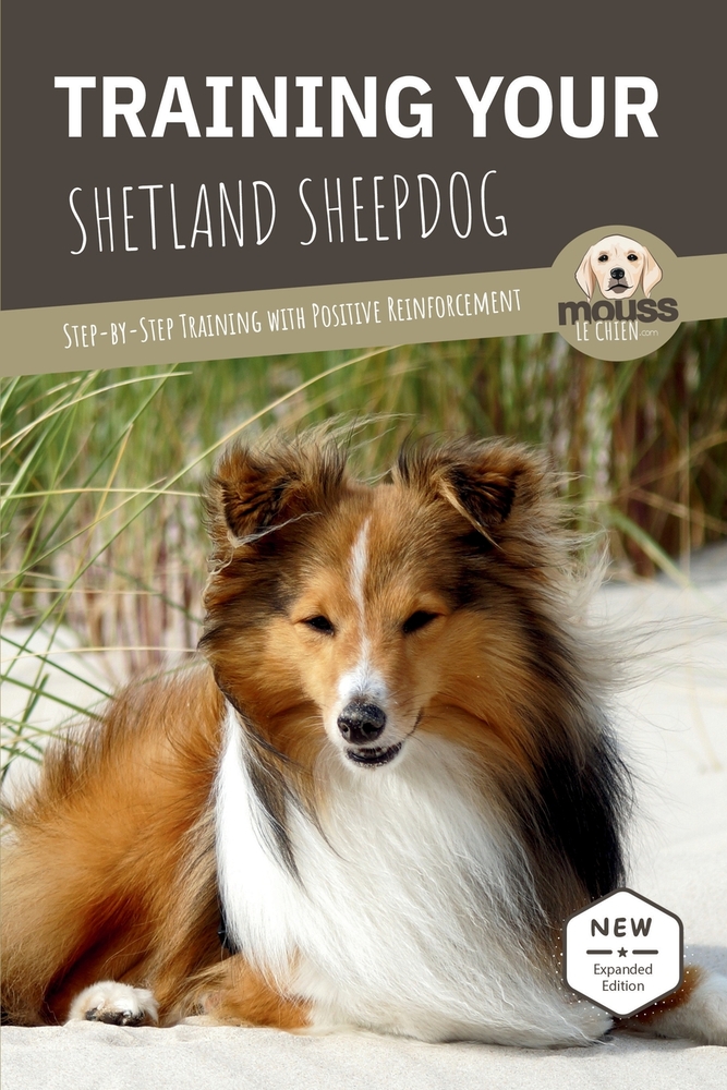 Training Your Shetland Sheepdog: Step-by-Step Training with Positive Reinforcement cover