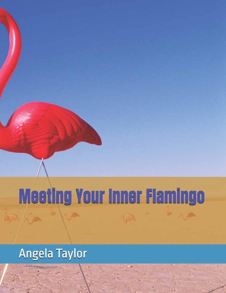 Meeting Your Inner Flamingo cover
