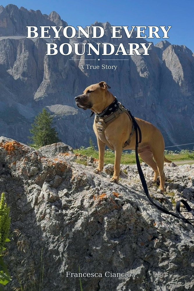 Beyond every boundary cover