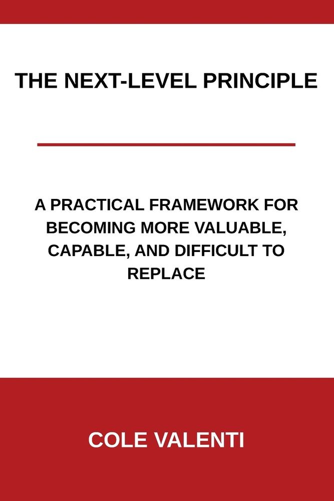 The Next-Level Principle: A Practical Framework for Becoming More Valuable, Capable, and Difficult to Replace cover
