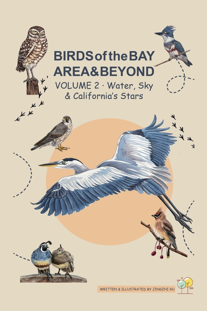 BIRDS of the BAY AREA & BEYOND: Volume 2 - Water, Sky & California's Stars cover