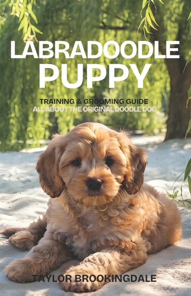 Labradoodle Puppy Training & Grooming Guide: ALL ABOUT THE ORIGINAL DOODLE DOG: Gentle & Force-Free Positive Reinforcement Methods for House & Potty T cover