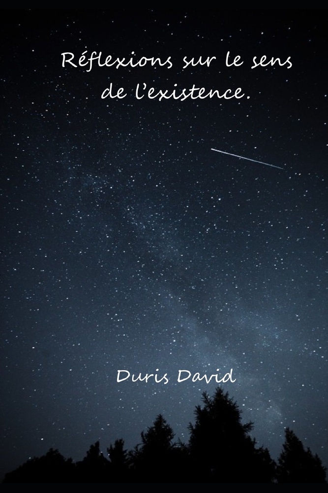 Réflexions sur le sens de l'existence ! cover