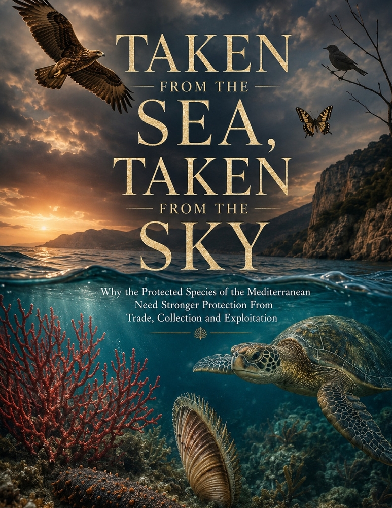 Taken from the Sea, Taken from the Sky cover