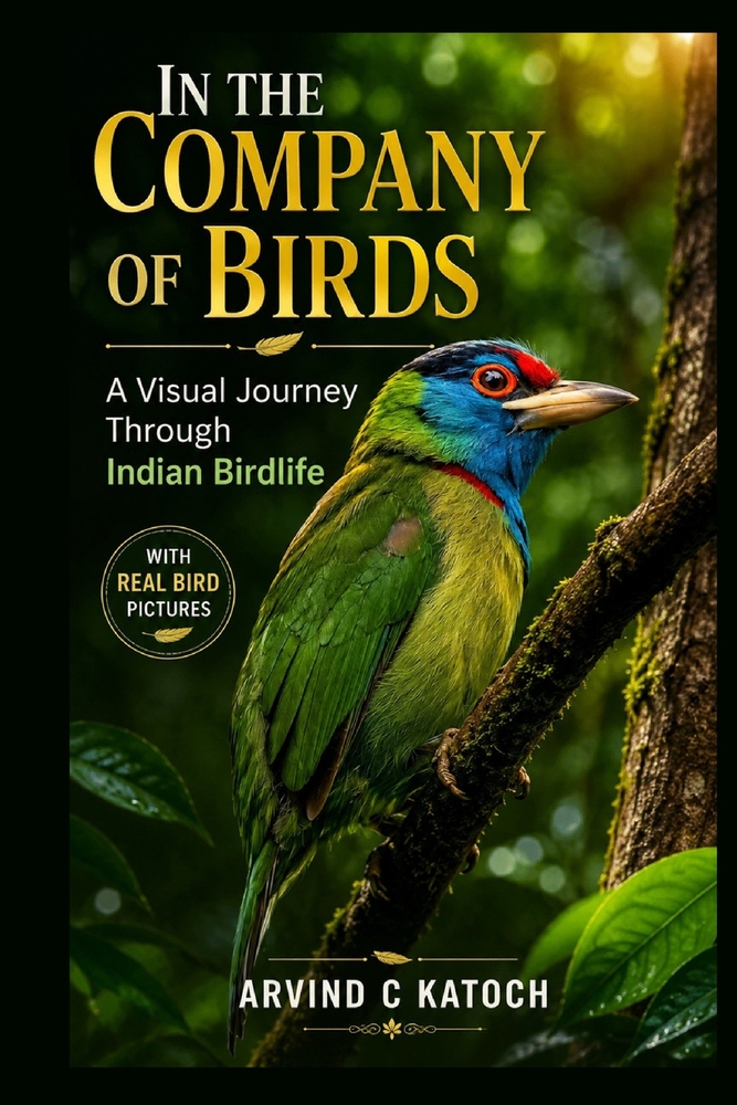 In the Company of Birds: A Visual Journey Through Indian Birdlife cover