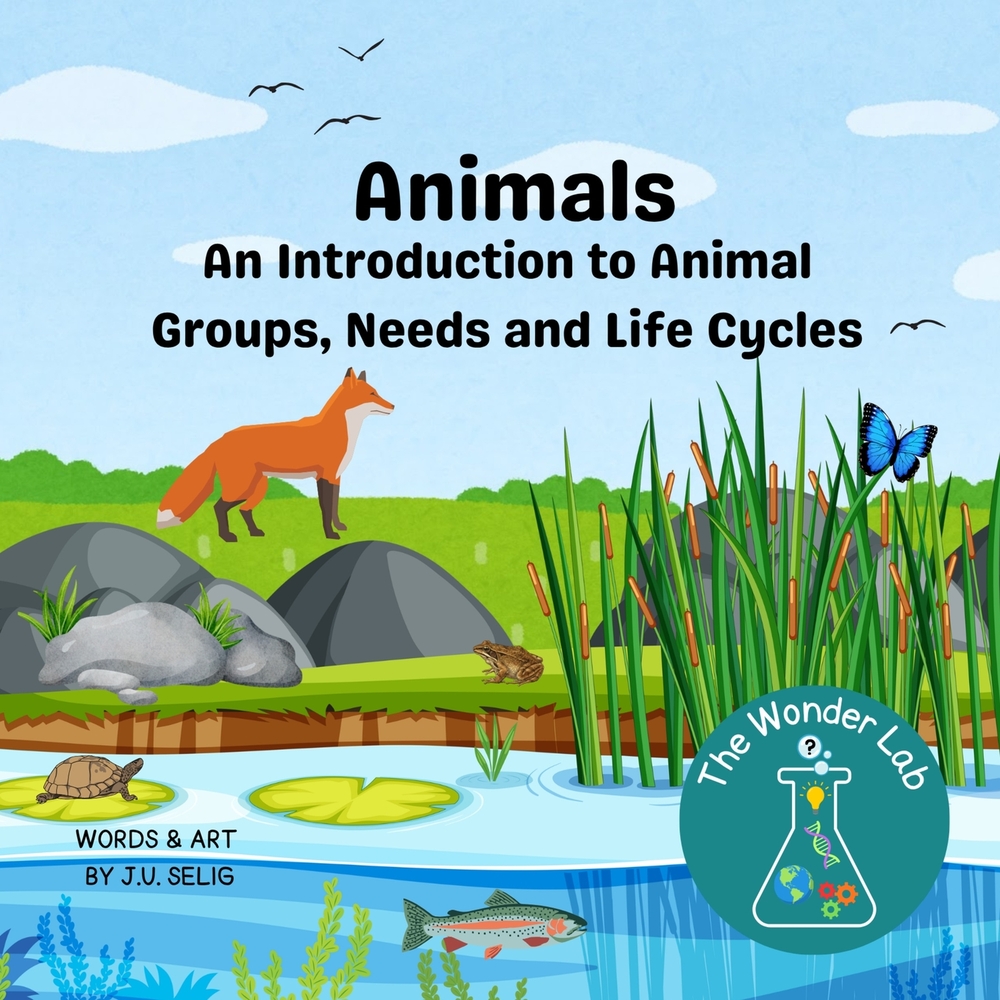 Animals: An Introduction to Animal Groups, Needs and Life Cycles cover