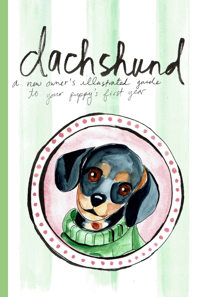 Dachshund: A New Owner's Illustrated Guide to Your Puppy's First Year cover