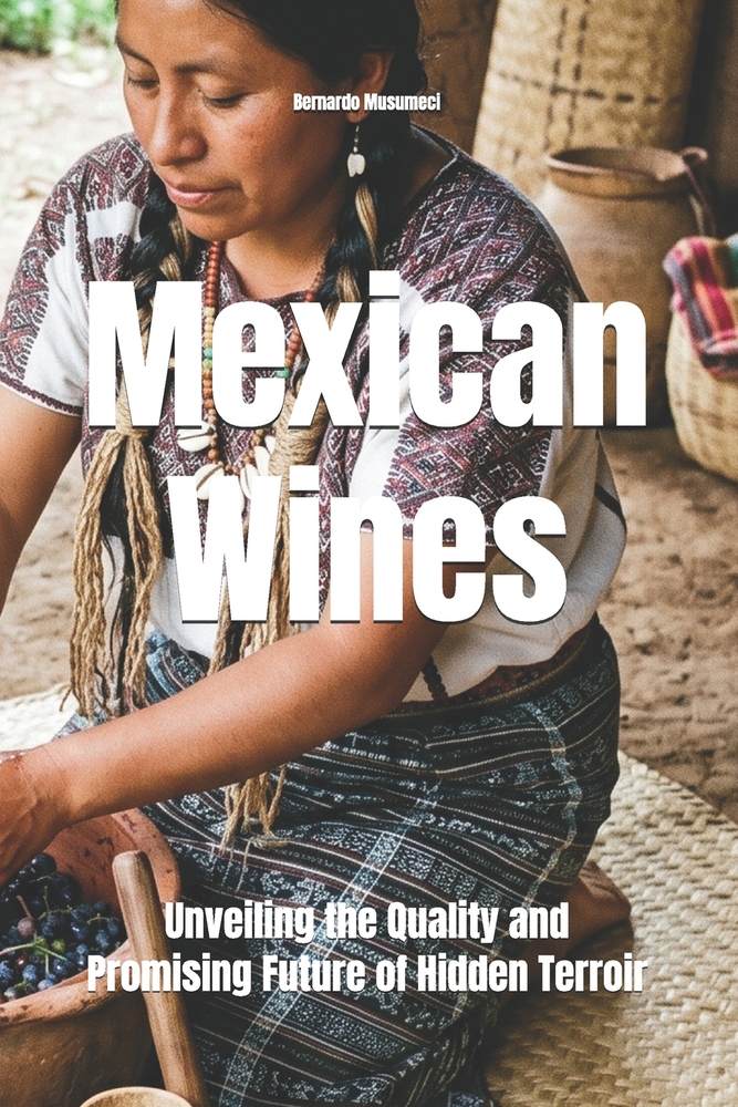 Mexican Wines: Unveiling the Quality and Promising Future of Hidden Terroir cover