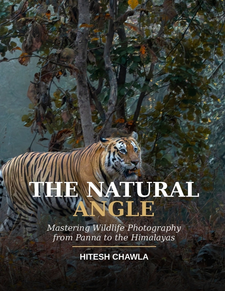 Mastering Wildlife Photography cover