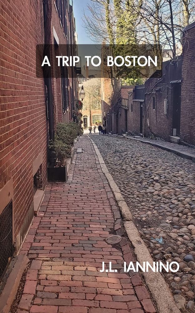 A Trip to Boston cover