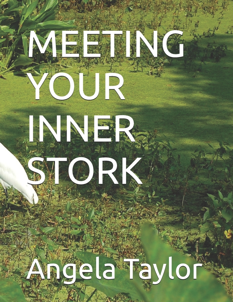 Meeting Your Inner Stork cover