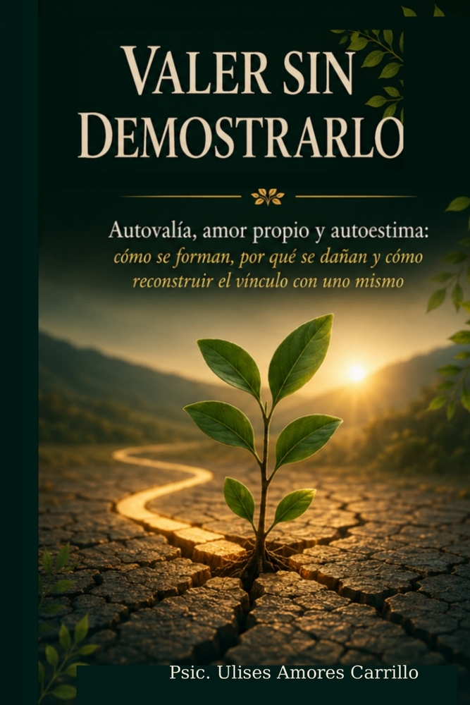Valer Sin Demostrarlo: Autovalía, amor propio y autoestima: cómo se forman, por qué se dañan y cómo reconstruir el vínculo con uno mismo cover
