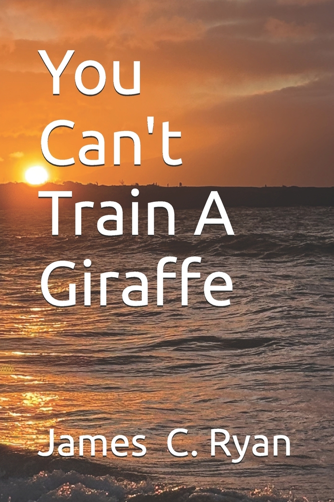 You Can't Train A Giraffe cover